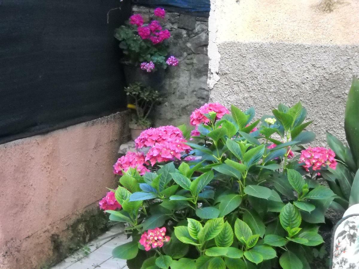 Apartamento Stella Marina Delle 5 Terre Levanto Exterior foto